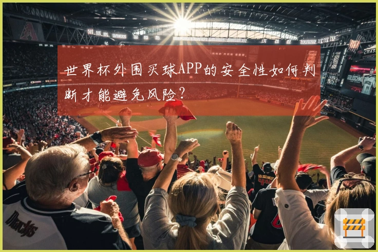 世界杯外围买球APP的安全性如何判断才能避免风险?